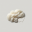 Merino wool icon